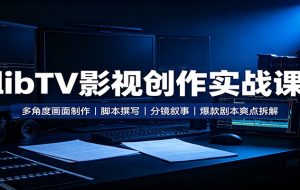 libTV影视创作实战课:多角度画面制作,脚本撰写,分镜叙事,爆款剧本爽点拆解