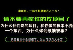 为什么做项目的人大多都是炮灰？为什么只有卖项目才能稳？看完你也可以月入10W+【揭秘】