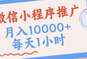微信小程序推广，单日收益稳定300+，四种收入来源，实操简单的长期靠谱项目【揭秘】