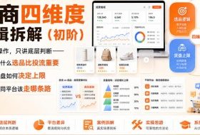 电商四维度逻辑拆解（初阶）不堆砌操作，只讲底层判断——为什么选品比投流重要、货盘如何决定上限、不同平台该走哪条路