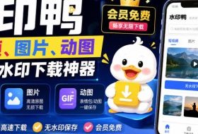 水印鸭–短视频/图片/动图无水印下载，更新支持抖音、快手，小红书，新增豆包、即梦ai、qq频道、视频号等共计20个平台