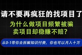 找项目?别傻了!卖项目才是真的一本万利!看完你全都懂了【揭秘】