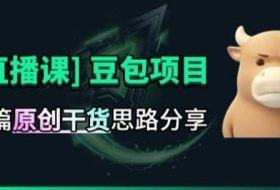 【直播课】原创思路打豆包项目,全是独家思路分析
