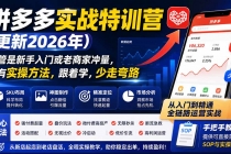 (19988期)拼多多实战特训营(更新26年0821):不管是新手入门或老商家冲量,都有实操方法,跟着学,少走弯路