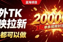 (19994期)海外TK拉新新玩法,剪映就能做,不用经验不用粉丝,单条视频收益上限20000+