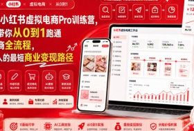 8月AI小红书虚拟电商Pro训练营,手把手带你从0到1跑通虚拟电商全流程,给普通人的最短商业变现路径