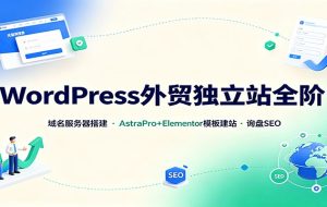 WordPress外贸独立站全阶：域名服务器搭建，AstraPro+Elementor模板建站与询盘询盘SEO