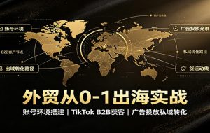 外贸从0-1出海实战：账号环境搭建，TikTok B2B获客，广告投放私域转化