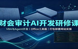 财会审计AI开发研修课：VBA与Agent开发，Office工具箱，打包部署网站实操
