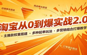 淘宝从0到爆实战2.0：主推款权重搭建，多种起单玩法，多营销组合打爆教学