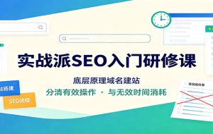 实战派SEO入门研修课：底层原理域名建站，分清有效操作与无效时间消耗