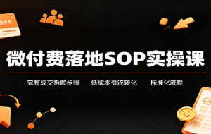 微付费落地SOP实操课：完整成交拆解步骤，低成本引流转化标准化流程