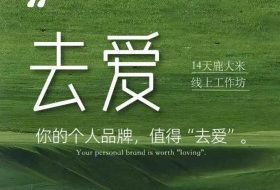 去爱14天鹿大米线上工作坊,你的个人品牌,值得“去爱”