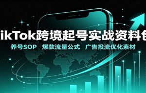 TikTok跨境起号实战资料包:养号SOP,爆款流量公式,广告投流优化素材