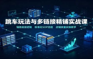 跳车玩法与多链接精铺实战课:链路底层逻辑,标准化SOP流程,店铺放量实操教学