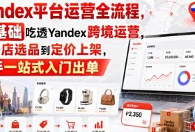 Yandex平台运营全流程,零基础吃透Yandex跨境运营,从开店选品到定价上架,新手一站式入门出单