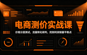 电商测价实战课：价格分层测试，流量转化研判，找到利润销量平衡点