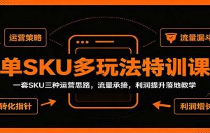 单SKU多玩法特训课：一套SKU三种运营思路，流量承接，利润提升落地教学