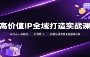 高价值IP全域打造实战课:IP定位人设搭建,产品设计,剪辑私域变现全套落地教学
