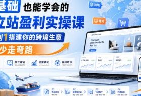 零基础也能学会的独立站盈利实操课，从0到1搭建你的跨境生意，帮你少走弯路