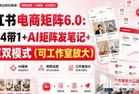 小红书电商矩阵6.0：单店4带1+AI矩阵发笔记+测怼双模式（可工作室放大）
