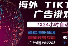 海外TikTok挂G流量变现，7X24自动运行，广告曝光收益，收益日结【揭秘】