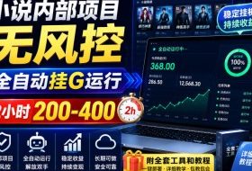 小说内部项目无风控,全自动挂G运行,2小时200-400,附全套工具和教程【揭秘】