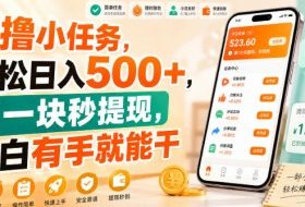 0撸小任务,轻松日入500+,满一块秒提现,小白有手就能干【揭秘】