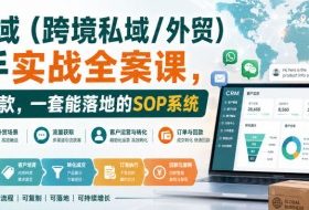 海外私域(跨境私域/外贸)操盘手实战全案课,从流量到回款,一套能落地的SOP系统