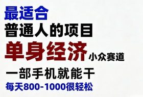 身经济小众赛道,一部手机就能干,每天搞个800-1000很轻松,最适合普通人的项目【揭秘】
