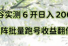 一台电脑就能做!灵谷实测6开日入200+,矩阵批量跑号收益翻倍【揭秘】