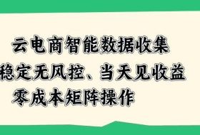 云电商智能数据收集，稳定无风控，当天做当天见收益，零成本矩阵操作【揭秘】