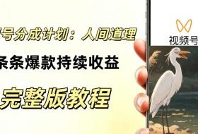 视频号新玩法之AI动漫画风励志视频,不用会画画、不用拍摄,持续化收益,详细拆解