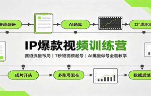 IP爆款视频训练营:赛道流量布局,7秒短视频起号,AI批量做号全套教学