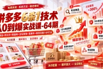 (20316期)拼多多6杀1技术从0到爆实战课-64期:机会商品+防比价+限量购+全站营销+直通车+裂变完整六步打法