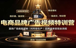电商品牌广告视频特训:直效广告底层逻辑,AI内容生产,品牌接单变现全流程