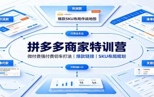 拼多多商家特训营:微付费强付费切车打法,爆款链接,SKU布局规划