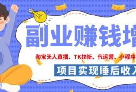 2026年多个真实落地副业项目,手把手带你搭建被动收入管道(淘宝无人直播、海外TK拉新、最新最全代运营、CSGO饰品交易、EA黄金量化、去水印小程序……)【揭秘】