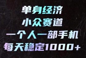 单身经济小众赛道,一个人一部手机,每天稳定1000+,长期可持续的赛道【揭秘】