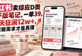 小红书卖综应D类电子版笔记,一单39,49天狂澜12w+,挖掘需求才是真理