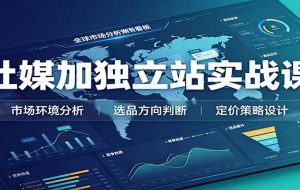 社媒加独立站实战课:市场环境选品定价,社媒运营建站,私域网红营销教学