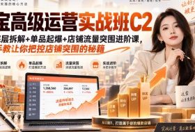 淘宝高级运营实战班C2|权重底层拆解+单品起爆+店铺流量突围进阶课,手把手教让你把控店铺突围的秘籍
