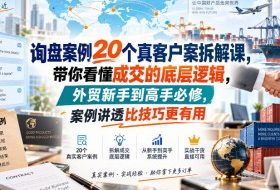 询盘案例20个真客户案拆解课,带你看懂成交的底层逻辑,外贸新手到高手必修,案例讲透比技巧更有用