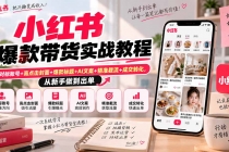 (20473期)小红书爆款带货实战教程|对标账号+高点击封面+爆款标题+AI文案+精准截流+成交转化,从新手做到出单