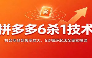 拼多多6杀1技术：机会商品到裂变放大，6步循环起店全案实操课
