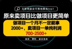 一单利润700-2.5K+，为什么我们要卖项目而不是做项目，我们普通人应该怎样开始？【揭秘】