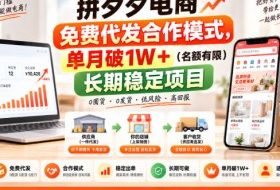 拼夕夕电商免费代发合作模式,单月破1W+(名额有限)长期稳定项目【揭秘】