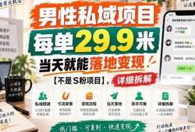 男性私域项目,每单29.9米,当天就能落地变现【不是S粉项目】,详细拆解