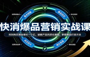 快消爆品营销实战课:找到购买理由增长一个亿,破解产品同质化难题,掌握爆品打造方法