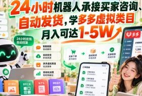 24小时机器人承接买家咨询、自动发货,学多多虚拟类目月入可达1-5W【揭秘】